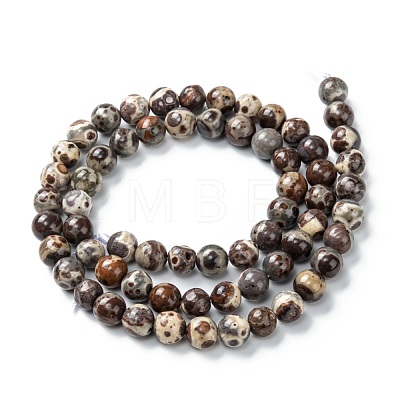 Round Natural Fire Crackle Agate Beads G-E567-01A-1