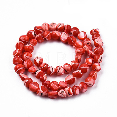Natural Trochid Shell/Trochus Shell Beads Strands SSHEL-N032-48-A05-1