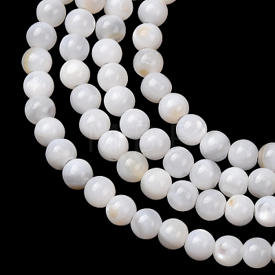 Natural Freshwater Shell Beads Strands SH-CBA2978-07D-01-1