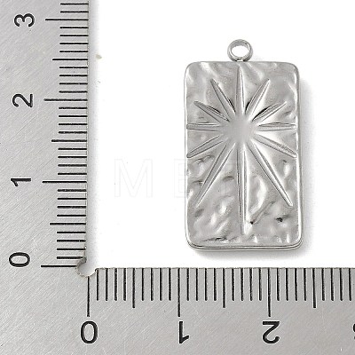 304 Stainless Steel Pendants STAS-L277-03A-P-1