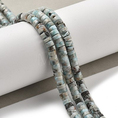 Natural Larimar Beads Strands G-Q024-B03-02-1