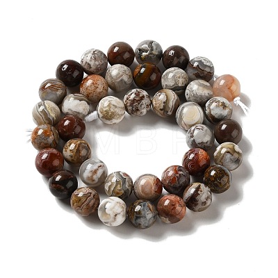 Natural Mexican Agate Beads Strands G-E578-02C-1