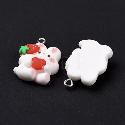 Resin Pendants X-RESI-M026-11-1