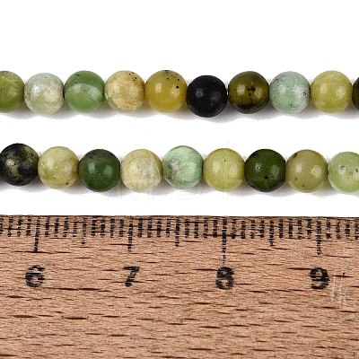 Natural Serpentine Beads Strands G-Q616-07A-1