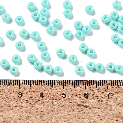 Baking Paint Glass Seed Beads SEED-H002-I-A525-1