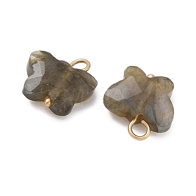 Natural Labradorite Pendants KK-D289-61G-05-1