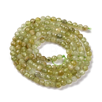 Natural Green Garnet Beads Strands G-A235-A02-02-1