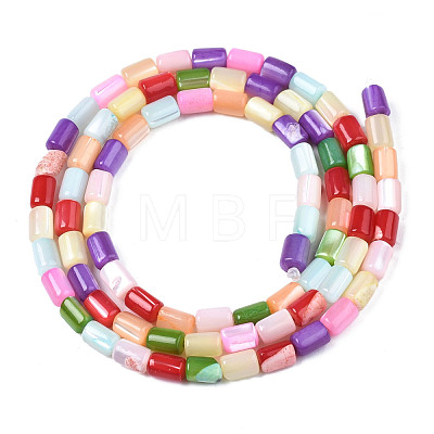 Natural Trochid  Shell Beads Strands SHEL-S278-069-1