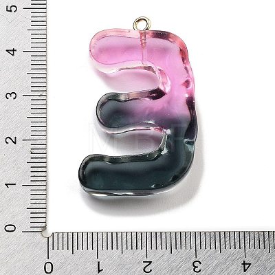 Resin Pendant FIND-Q107-01E-01-1