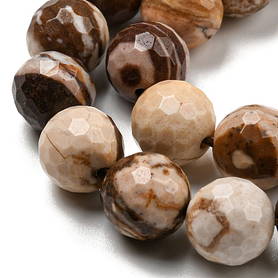 Natural Zebra Jasper Beads Strands G-C079-B01-02-1