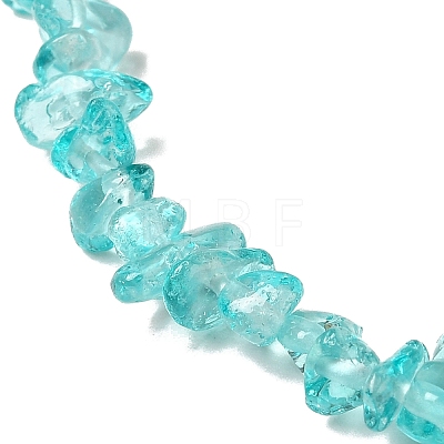 Transparent Glass Beads Strands GLAA-P060-01C-19-1