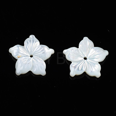 Natural White Shell Beads SSHEL-N027-131A-01-1