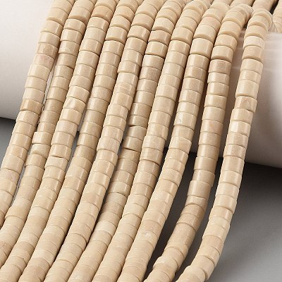 Natural Fossil Beads Strands G-M420-A10-01-1