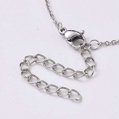 Cubic Zirconia Charms Necklaces NJEW-JN02686-01-1