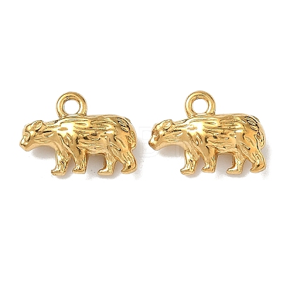 304 Stainless Steel Charms STAS-I367-10G-1