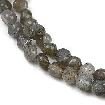 Natural Labradorite Beads Strands G-Q060-B02-1