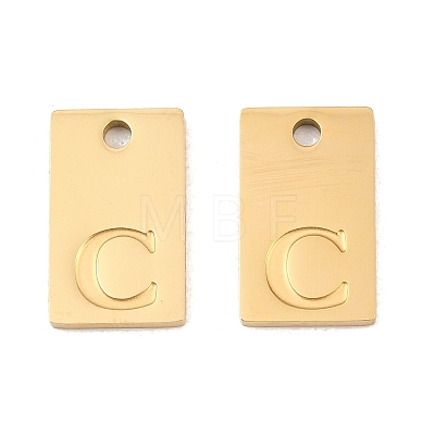 304 Stainless Steel Pendants SA-CBA1839-21G-C-1