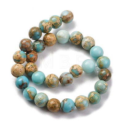 Dyed Natural Regalite/Imperial Jasper/Sea Sediment Jasper Beads Strands G-B124-C02-03-1