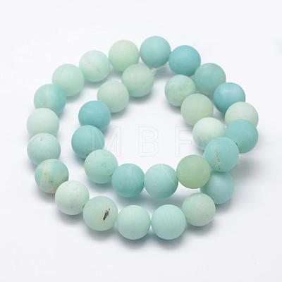 Natural Amazonite Beads Strands G-K209-03A-12mm-1