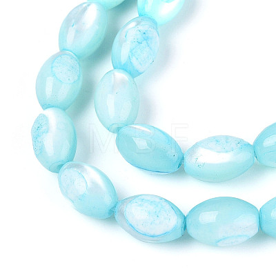 Natural Trochus Shell Beads Strands SHEL-K006-19-01B-1