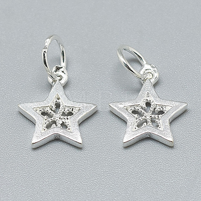 925 Sterling Silver Charms X-STER-T002-298S-1