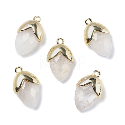 Natural Quartz Crystal Pendants G-U019-03A-01-1