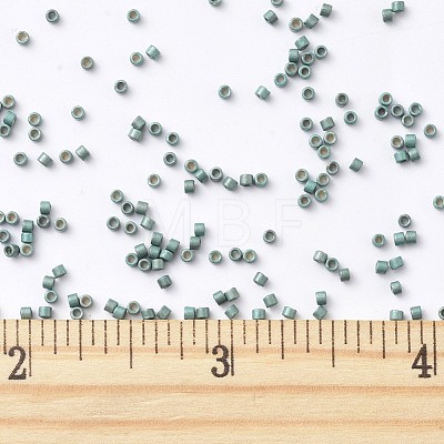 MIYUKI Delica Beads X-SEED-J020-DB1847F-1