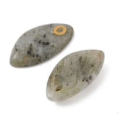 Natural Labradorite Pendants STAS-P380-80G-03-1