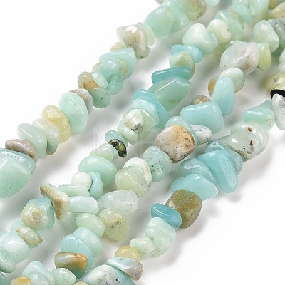 Natural Flower Amazonite Chips Beads Strands X-G-M205-12B-1