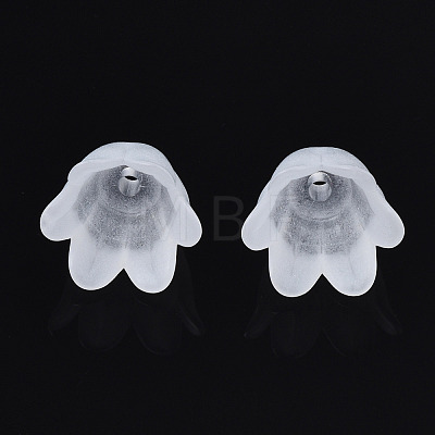 Transparent Acrylic Bead Caps FACR-N005-002A-1