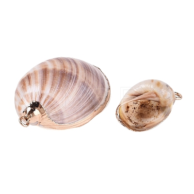 Electroplate Natural Spiral Shell Pendants SSHEL-Q100-35G-1