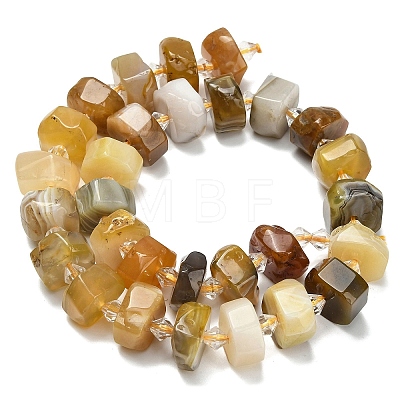 Natural Botswana Agate Beads Strands G-L642-H11-01-1