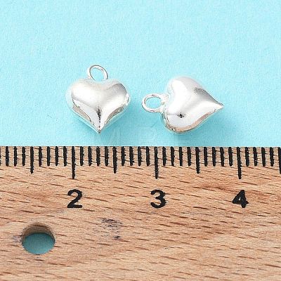 925 Sterling Silver Charms X-STER-H106-01A-S-1