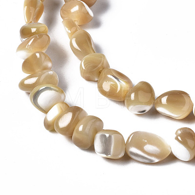 Natural Trochid Shell/Trochus Shell Beads Strands SSHEL-N034-78-B01-1