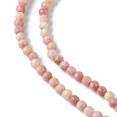 Natural Rhodonite Beads Strands G-F748-U01-02-1