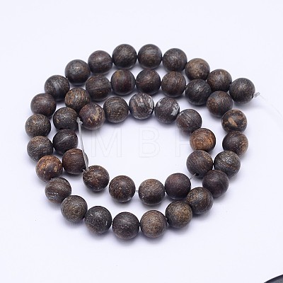 Natural Bronzite Beads Strands G-D745-12mm-1