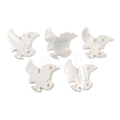 Natural Freshwater Shell Links Connector Charms SHEL-K009-08-1