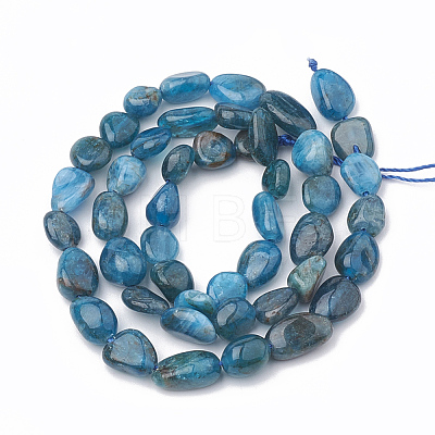Natural Apatite Beads Strands G-S331-6x8-002-1
