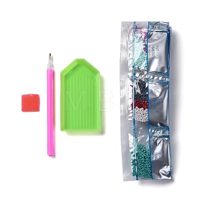 5D DIY Diamond Painting Canvas Kits For Kids DIY-F059-03-1