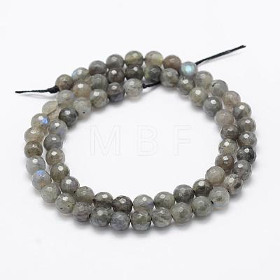 Natural Labradorite Beads Strands G-P322-30-6mm-1