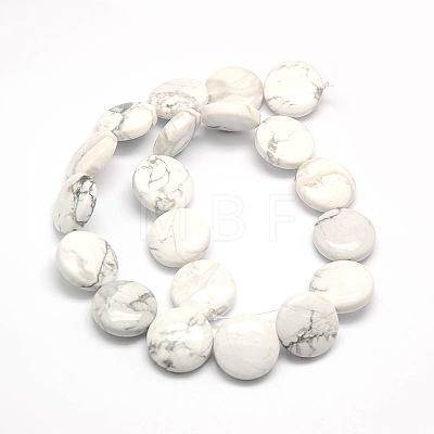 Natural Flat Round Crackle Howlite Beads Strands G-L246-04-1