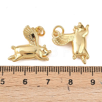 Brass Pendants KK-L255-20G-01-1