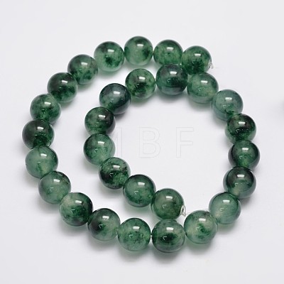 Natural & Dyed Malaysia Jade Bead Strands G-A146-12mm-C01-1