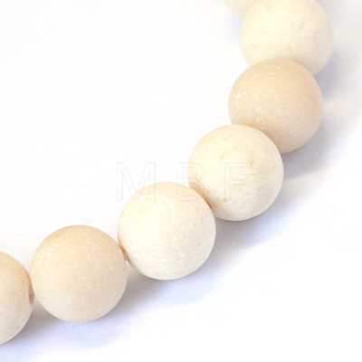 Frosted Natural Fossil Round Bead Strands X-G-E334-6mm-22-1