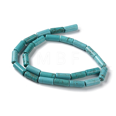 Natural Howlite Beads Strands G-Q008-A02-01-1