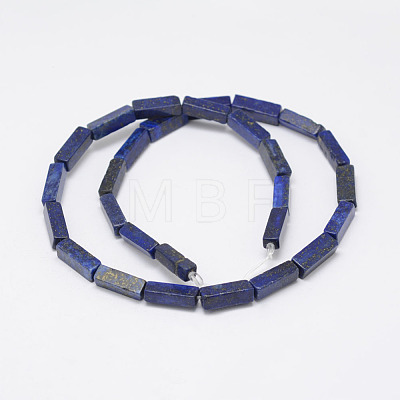 Natural Lapis Lazuli Beads Strands X-G-E342-11-1
