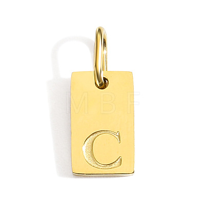 304 Stainless Steel Pendants STAS-Z143-01G-S-1