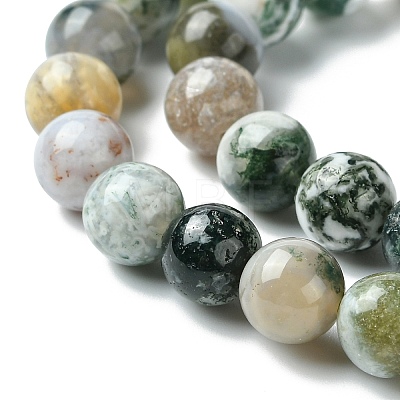Natural Tree Agate Round Gemstone Beads Strands G-R255-8mm-1