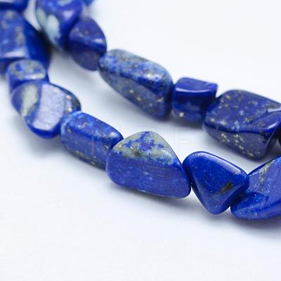 Natural Lapis Lazuli Beads Strands G-K203-18-1