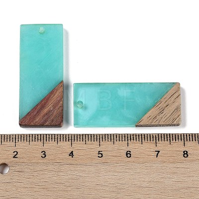 Resin & Wood Pendants WOOD-F015-09F-1